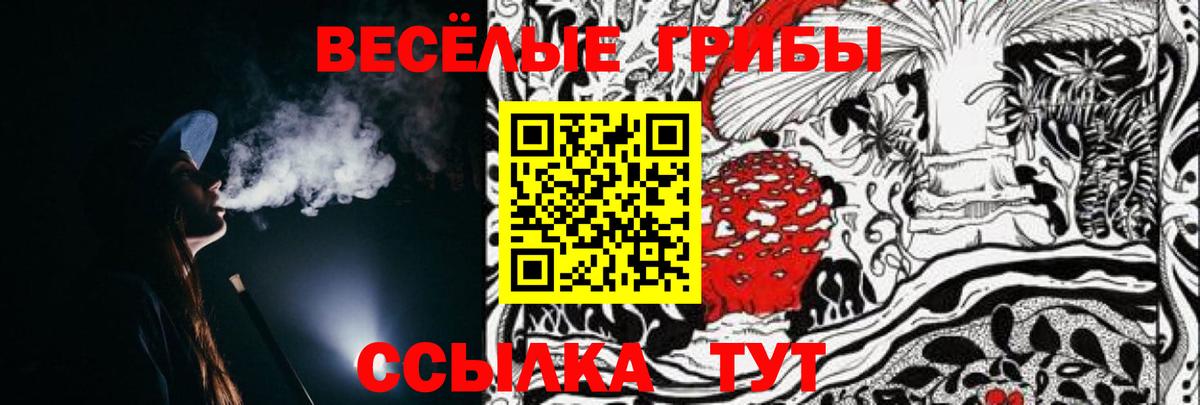 Псилоцибиновые грибы ЛСД Новочебоксарск