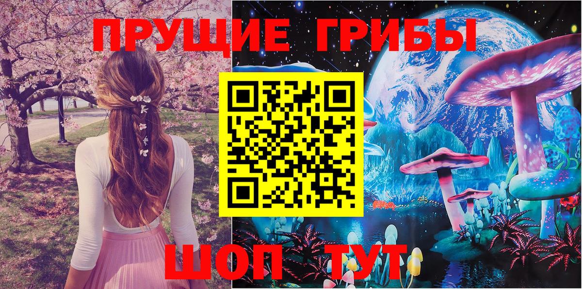Псилоцибиновые грибы MAGIC MUSHROOMS  Псилоцибиновые грибы MAGIC MUSHROOMS  Новочебоксарск  Вход с VPN 